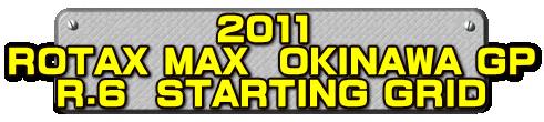 2011  ROTAX MAX  OKINAWA GP R.6  STARTING GRID