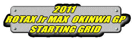 2011 ROTAX MAX  Jr OKINWA GP STARTING GRID 